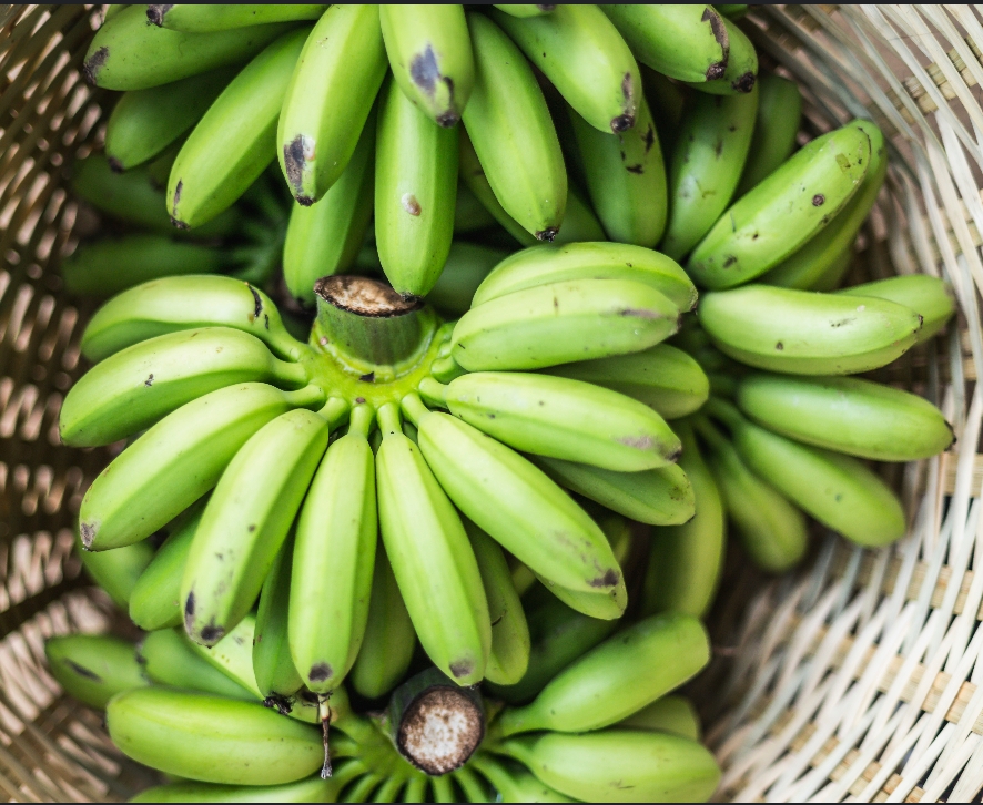 Banana Vert