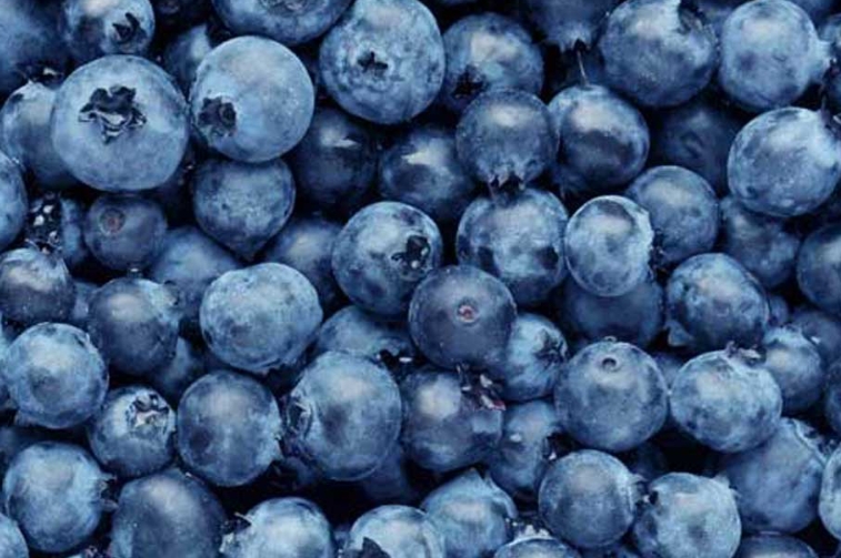 Blueberry