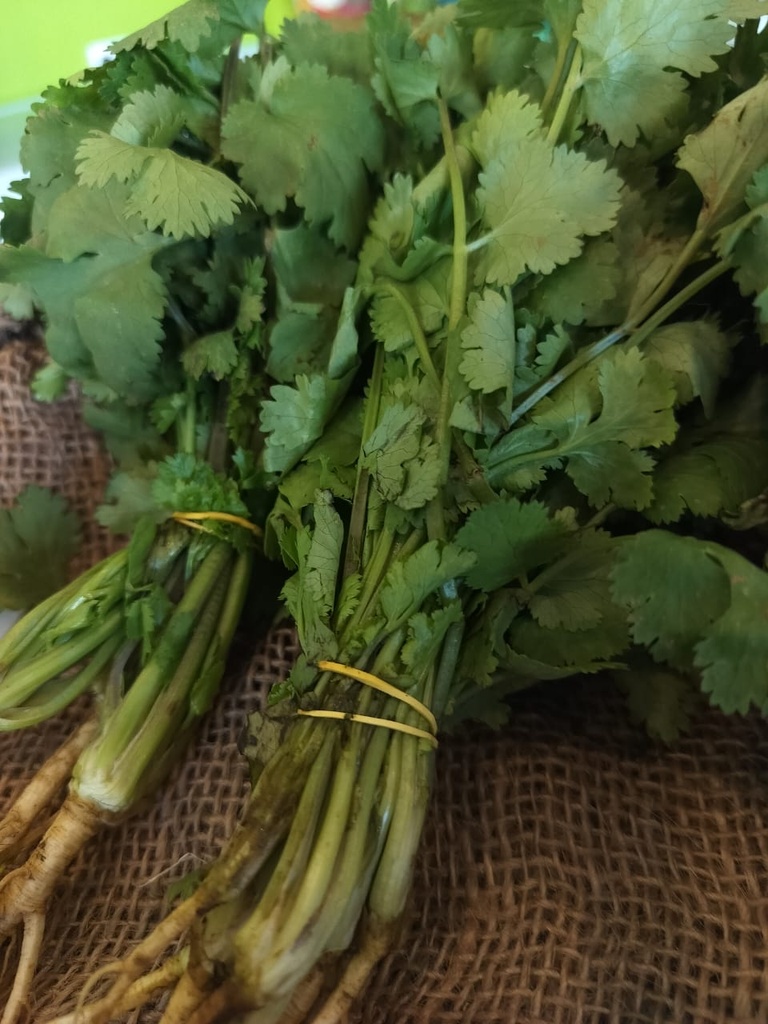 Cotomili