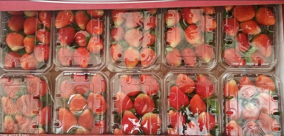 Fraise