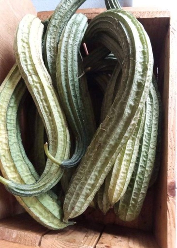 Pipangaille (kg)