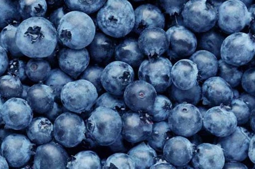 Blueberry