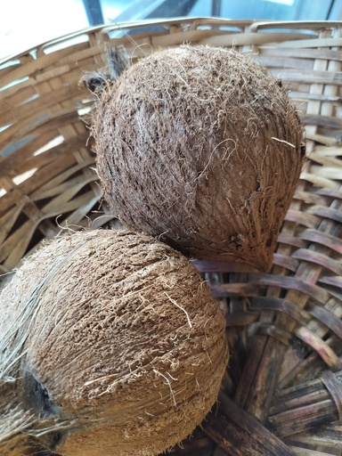 Coco (gros)