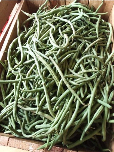 Haricot (kg)