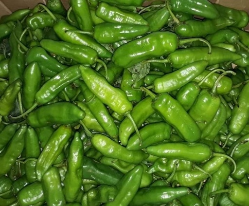 Piment Cari (kg)