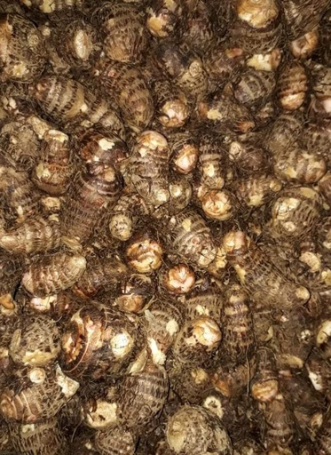 Arouille Cari (kg) 
