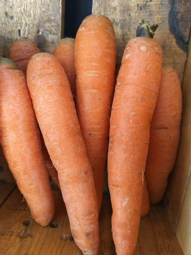 Carotte (kg) 