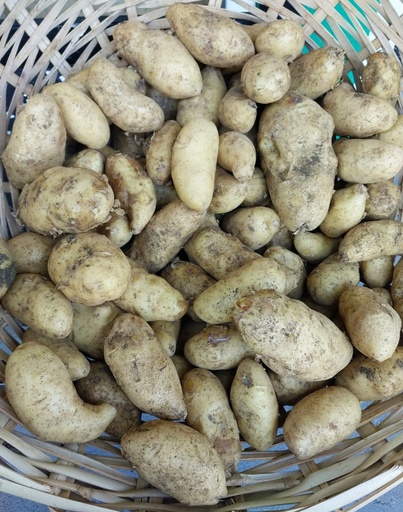 Pomme de Terre(kg) 