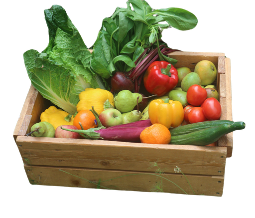 Fruity Basket